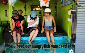 сиемрип цены на массаж