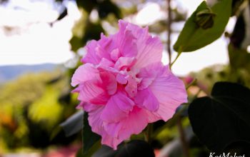 dalat kanatnaya doroga