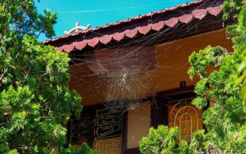 dalat kanatnaya doroga