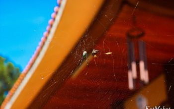 dalat kanatnaya doroga