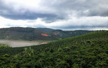 водопад словнов