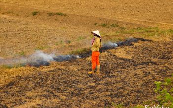 ему в деревне живется луче всех, по видимому.