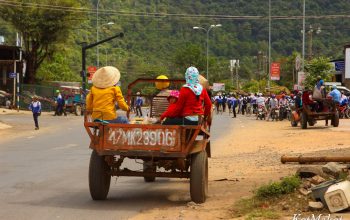 ему в деревне живется луче всех, по видимому.