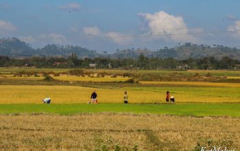 Колорит Вьетнама- вьетнамская деревня-