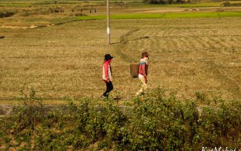 Колорит Вьетнама- вьетнамская деревня