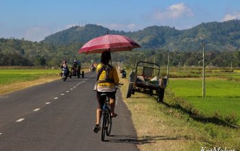 Колорит Вьетнама- вьетнамская деревня