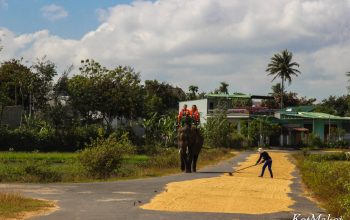 Колорит Вьетнама- вьетнамская деревня