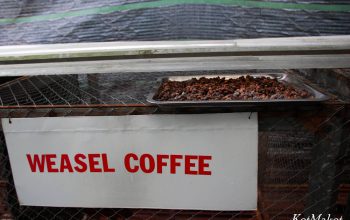 водопад пренн Лювак