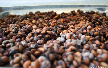 водопад пренн Лювак