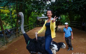 водопад пренн