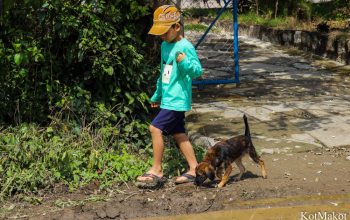 Водопад Янг Бей