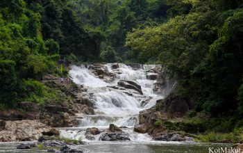Водопад Янг Бей