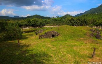Водопад Янг Бей