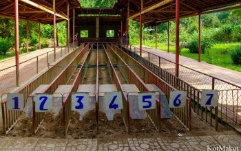 Водопад Янг Бей