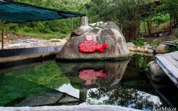 Водопад Янг Бей