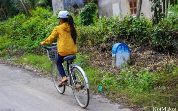 Водопад Янг Бей