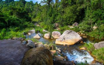 Водопад Янг Бей