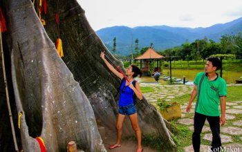 Водопад Янг Бей