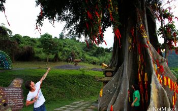 Водопад Янг Бей