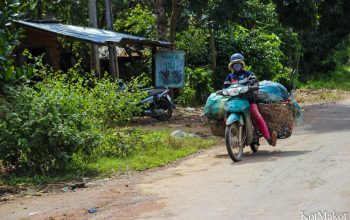 Водопад Янг Бей