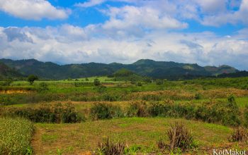 Водопад Янг Бей