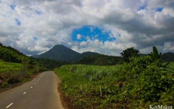 Водопад Янг Бей