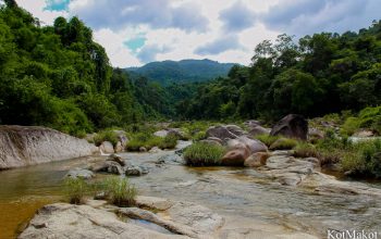 Водопад Янг Бей