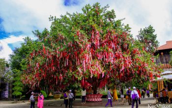 Далат, новый год 2015