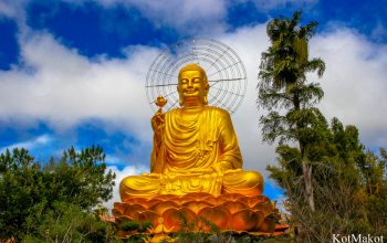 Далат, новый год 2015