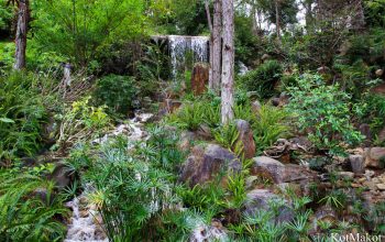 Далат, новый год 2015