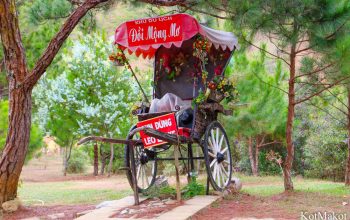 Далат, новый год 2015