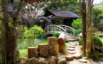 Далат, новый год 2015