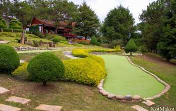 Далат, новый год 2015