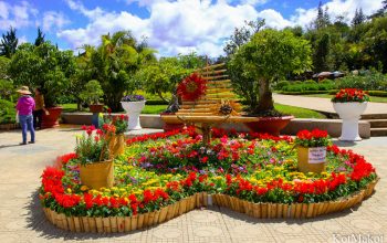 Далат, Парк Цветов, Новый год 2015