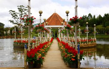 Далат, Парк Цветов, Новый год 2015