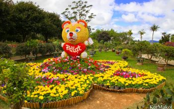 Далат, Парк Цветов, Новый год 2015