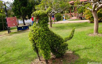 Далат, Парк Цветов, Новый год 2015