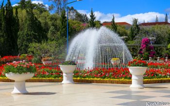 Далат, Парк Цветов, Новый год 2015