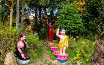 Далат, новый год 2015