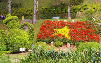 Далат, Парк Цветов, Новый год 2015