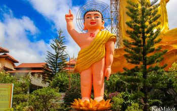 Далат, новый год 2015