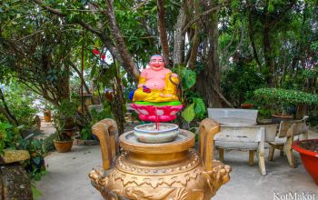 Далат, новый год 2015