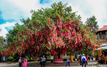 Далат, новый год 2015