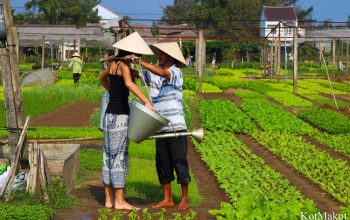 Прожить день как вьетнамец в Хойане