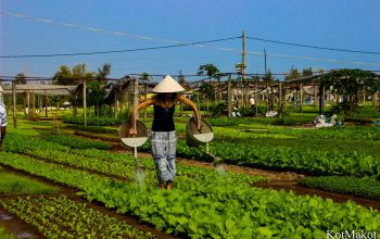 Прожить день как вьетнамец в Хойане