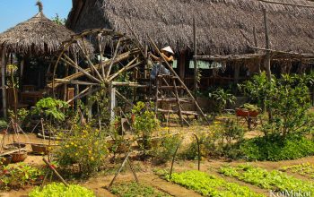 Прожить день как вьетнамец в Хойане