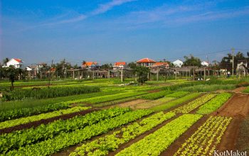 Прожить день как вьетнамец в Хойане