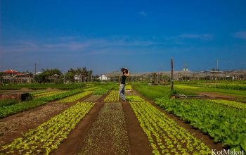 Прожить день как вьетнамец в Хойане