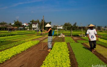 Прожить день как вьетнамец в Хойане