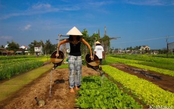 Прожить день как вьетнамец в Хойане